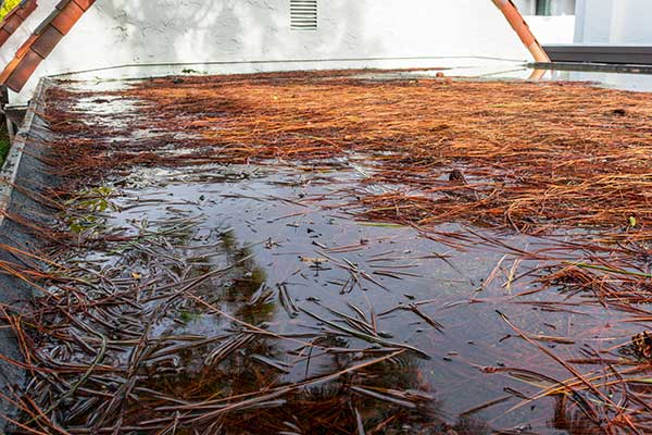 commercial-roof-debris-ponding