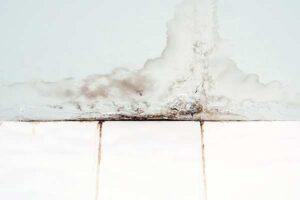 commercial-roof-leaks-walls